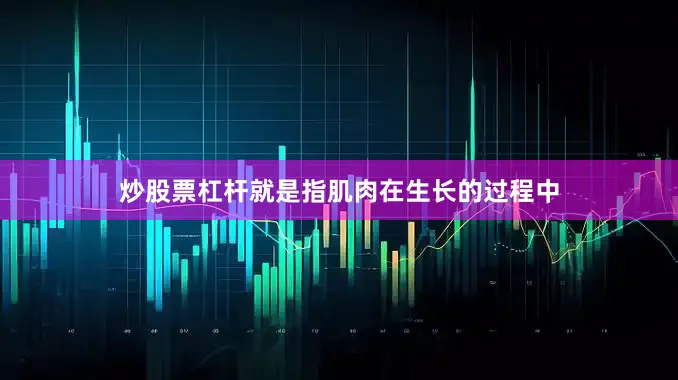 炒股票杠杆就是指肌肉在生长的过程中